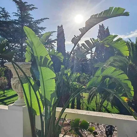 Lovely In Saint-raphael With Wifi Apartment Saint-Raphael (Var)