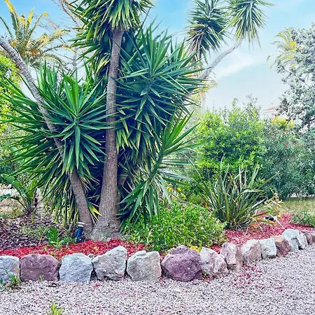 Apartment Lovely In Saint-raphael With Wifi